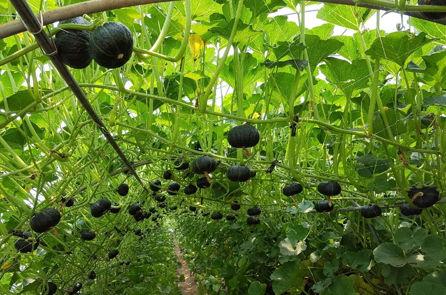 5b72f56bc0c7ebdda971e706044081a5_1771999683_5766.jpg 5b72f56bc0c7ebdda971e706044081a5_1771999683_5766.jpg