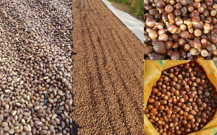 5b72f56bc0c7ebdda971e706044081a5_1772000059_4707.jpg 5b72f56bc0c7ebdda971e706044081a5_1772000059_4707.jpg